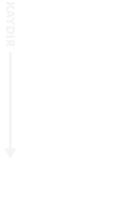 Arrow Down Icon